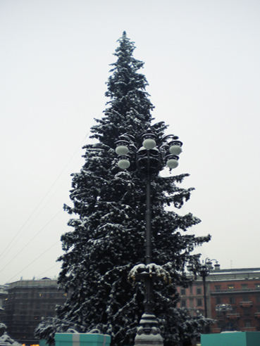Bild 026