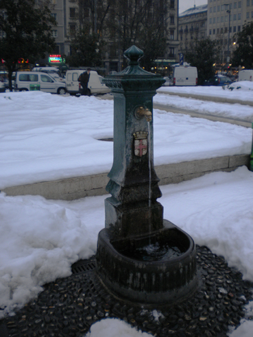 Bild 061