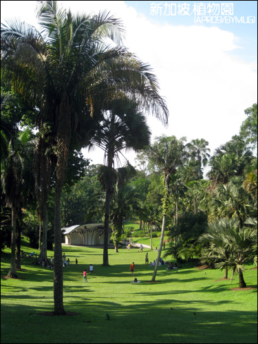 Bgarden_10
