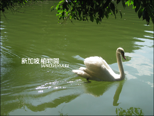 Bgarden_04