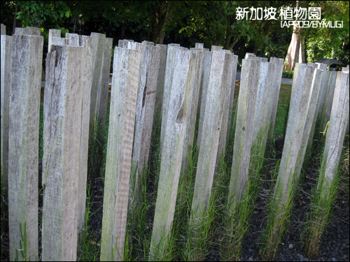 Bgarden_09