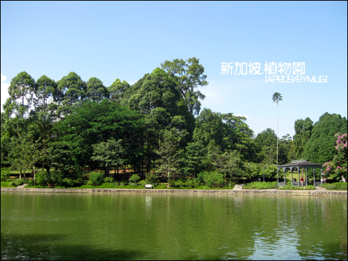 Bgarden_05