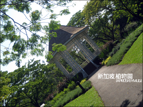 Bgarden_08